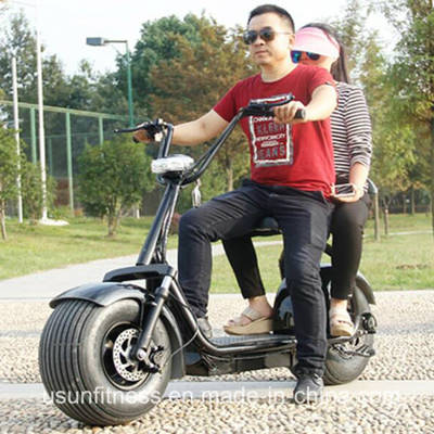 Hot Sale Electric Motorcycle City Coco Electric Bicycle Scooter