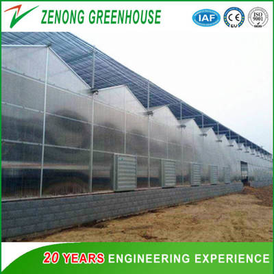 China Vegetable Greenhouse Greenhouse Hydroponics Greenhouse