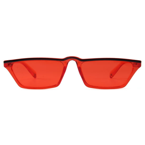 novelty glasses frames