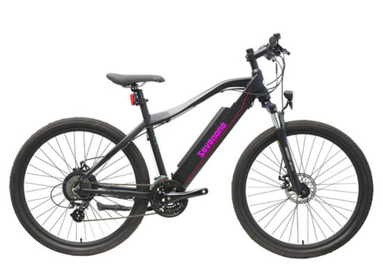 high performance electric bicycle