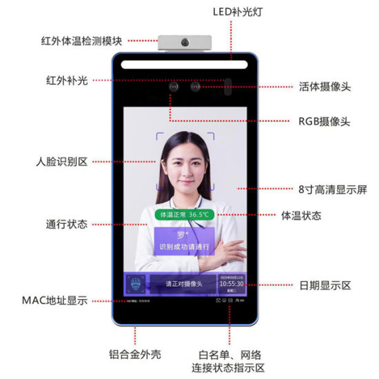 Cadres Photo Numériques, 8 Pouces Corps Humain Détection Album