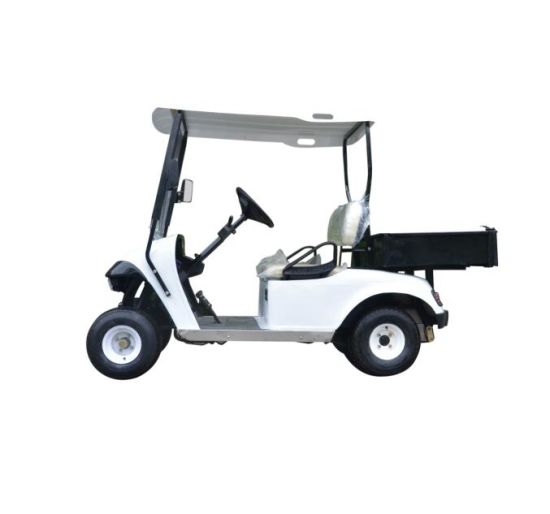 China New Design 2 Seaters Golf Car في مصنع Jialong عربة الجولف من الصين على Topchinasupplier Com