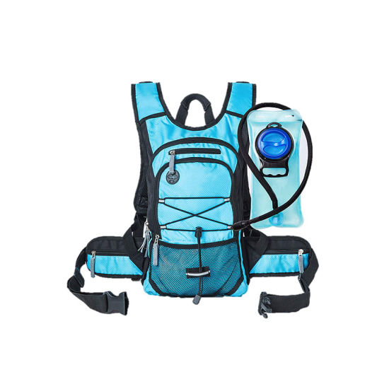 backpack with bladder pocket