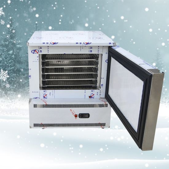 China Small Mini Portable Deep Flash Freezer Refrigerator with 5 Trays